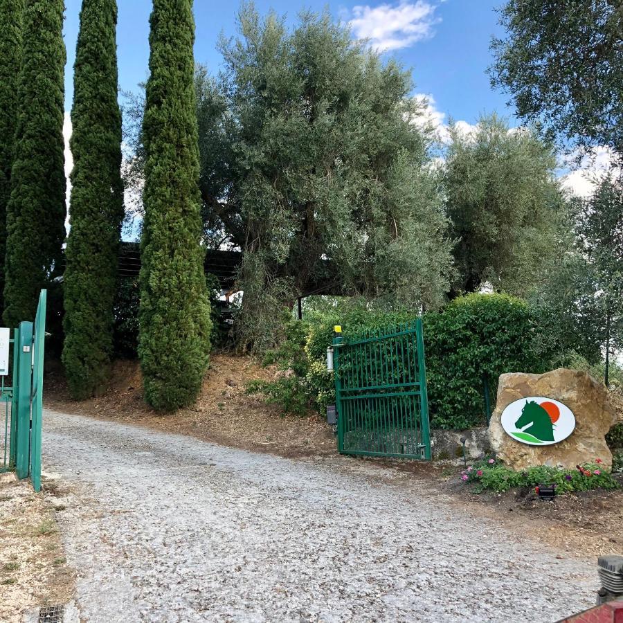 Agriturismo Poggio Del Drago Montemerano Buitenkant foto