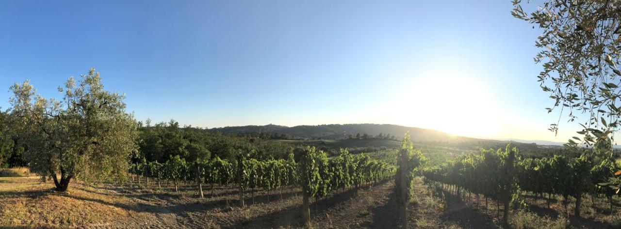 Agriturismo Poggio Del Drago Montemerano Buitenkant foto