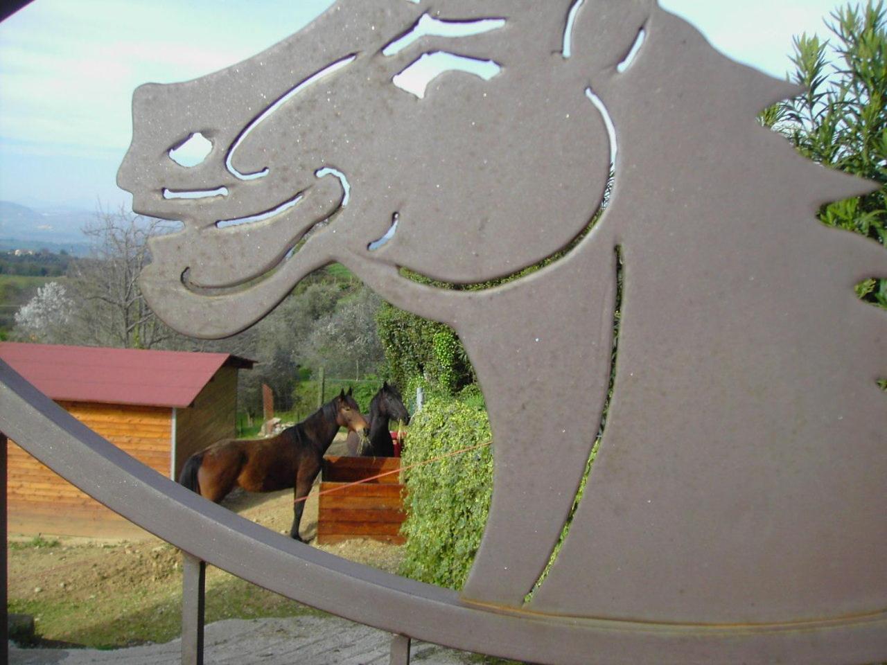 Agriturismo Poggio Del Drago Montemerano Buitenkant foto