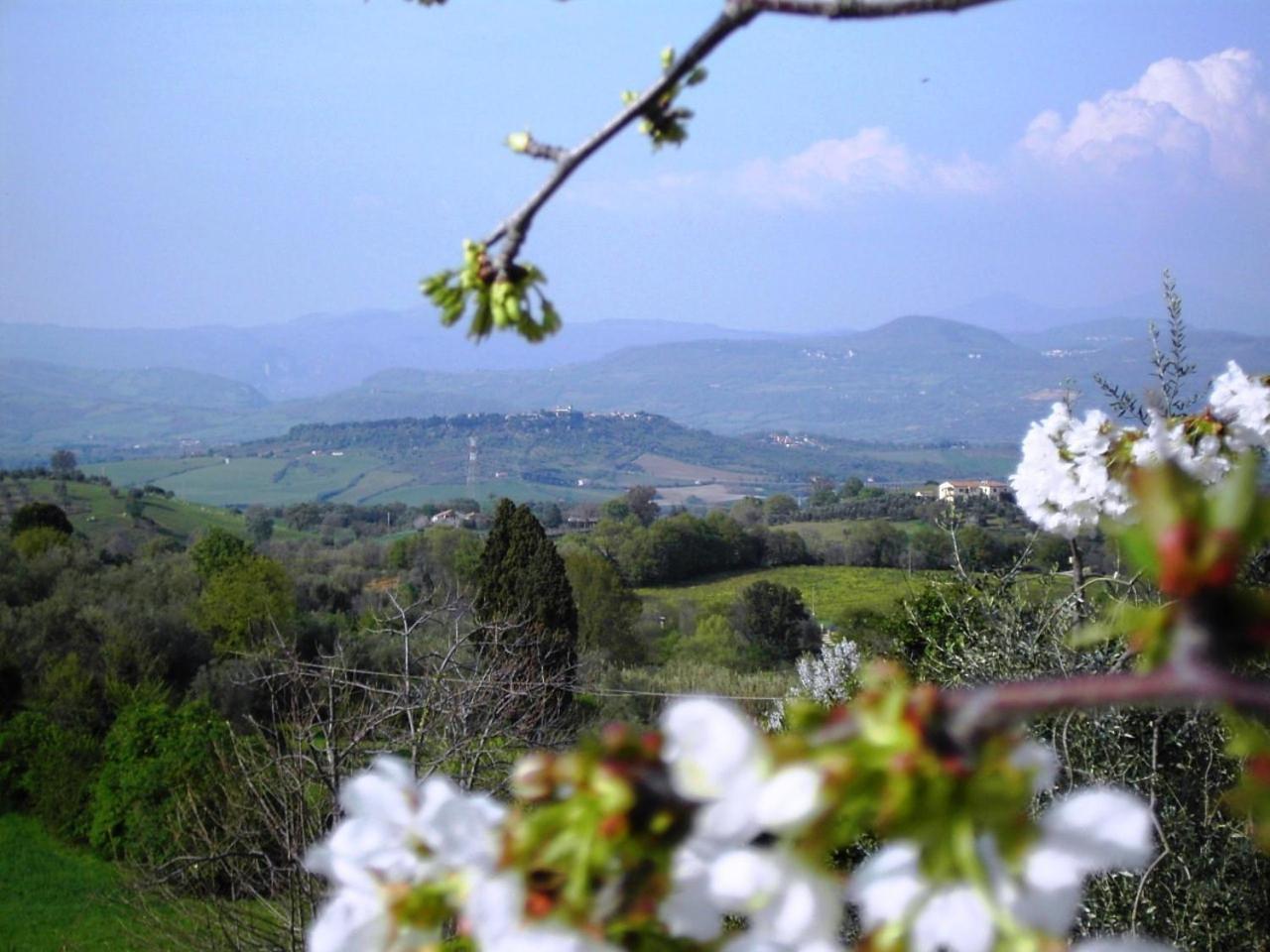 Agriturismo Poggio Del Drago Montemerano Buitenkant foto