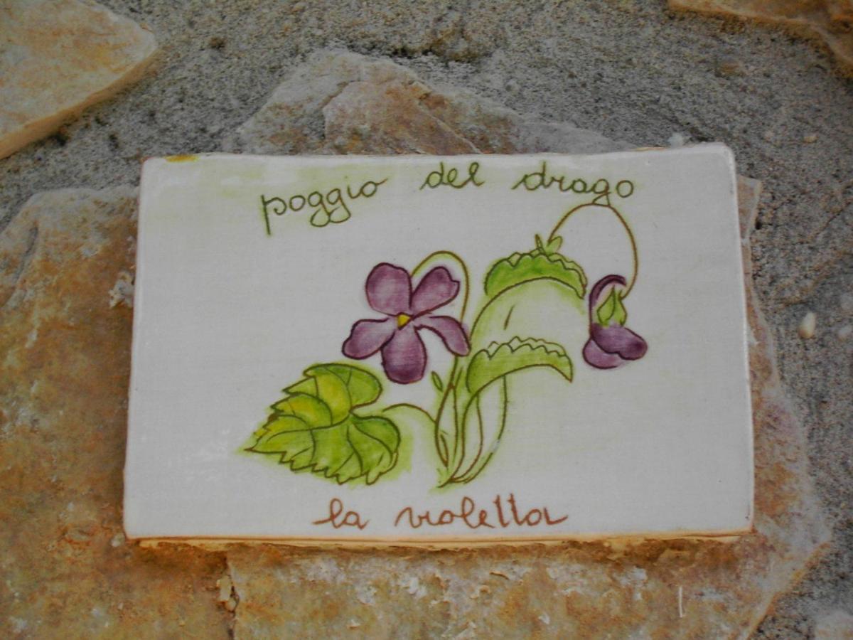 Agriturismo Poggio Del Drago Montemerano Kamer foto